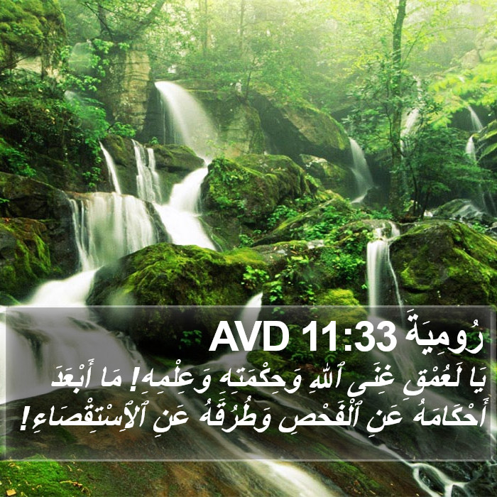 رُومِيَةَ 11:33 AVD Bible Study