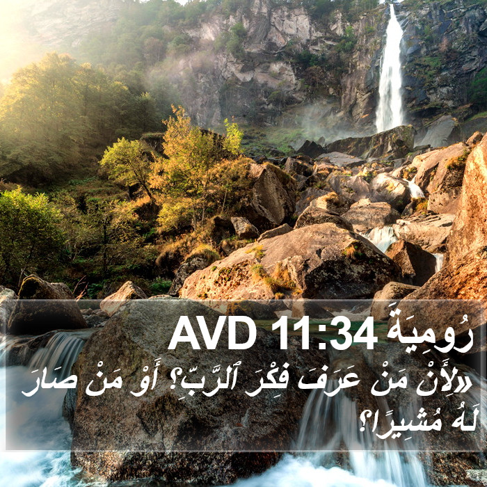 رُومِيَةَ 11:34 AVD Bible Study