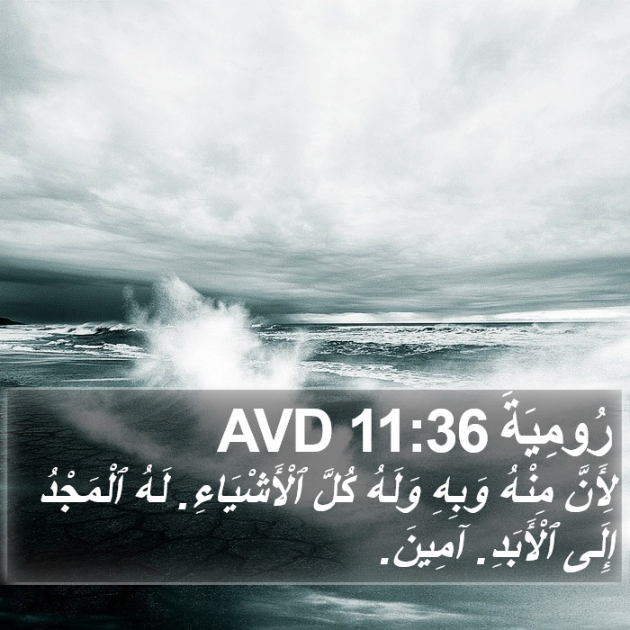 رُومِيَةَ 11:36 AVD Bible Study