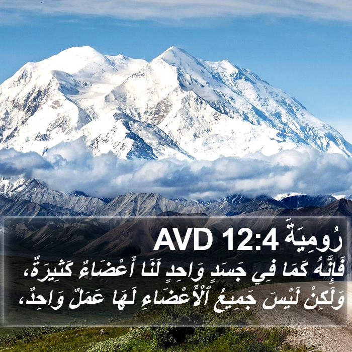 رُومِيَةَ 12:4 AVD Bible Study