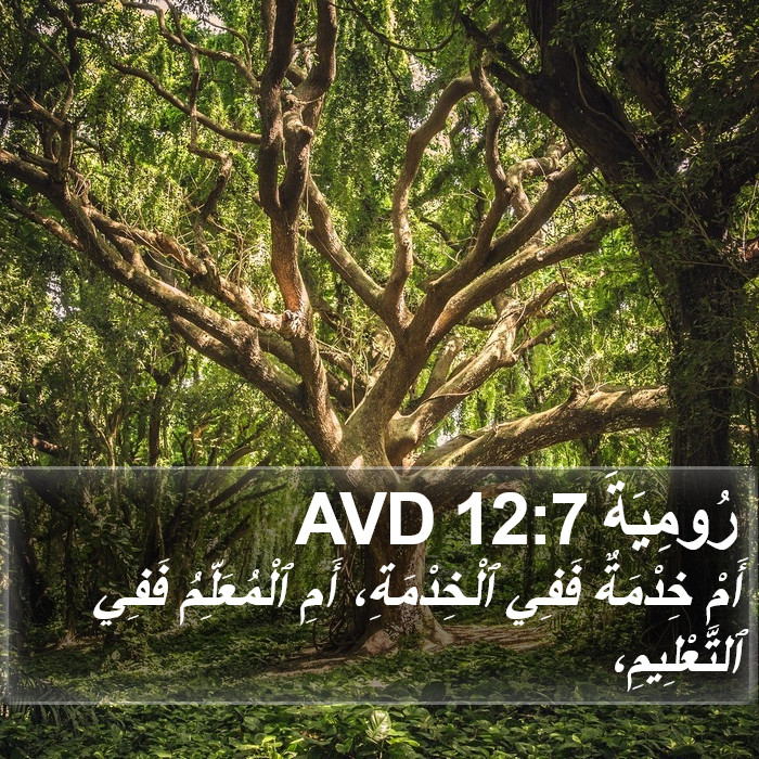 رُومِيَةَ 12:7 AVD Bible Study