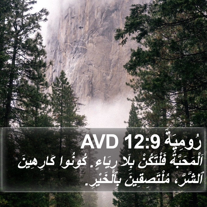 رُومِيَةَ 12:9 AVD Bible Study