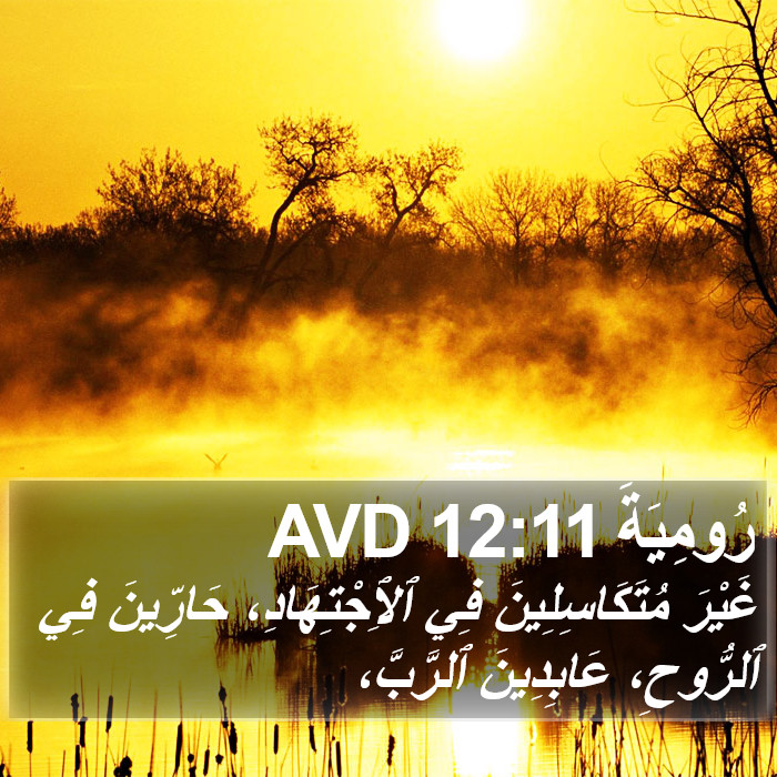 رُومِيَةَ 12:11 AVD Bible Study