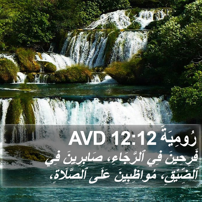 رُومِيَةَ 12:12 AVD Bible Study