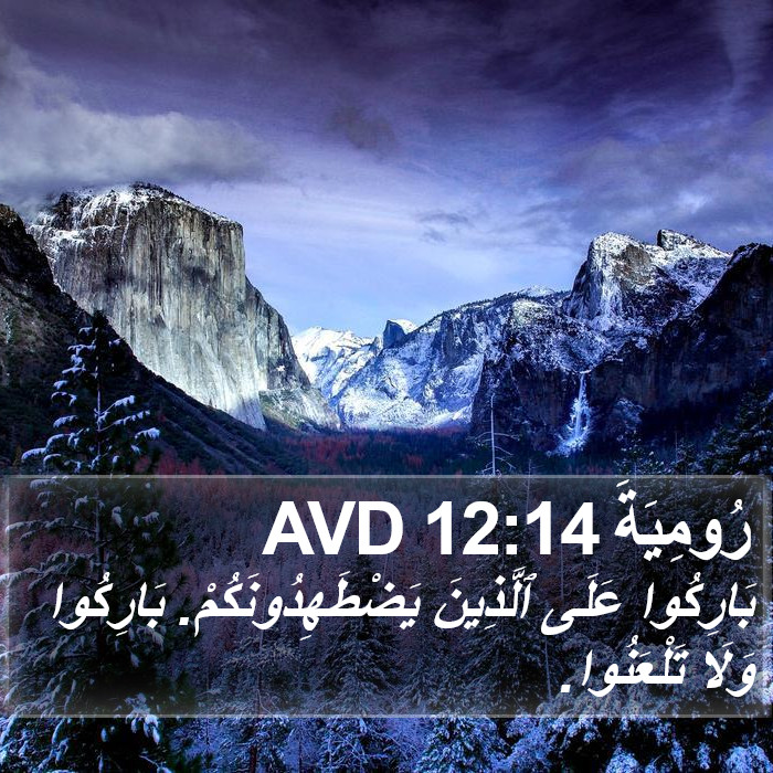 رُومِيَةَ 12:14 AVD Bible Study