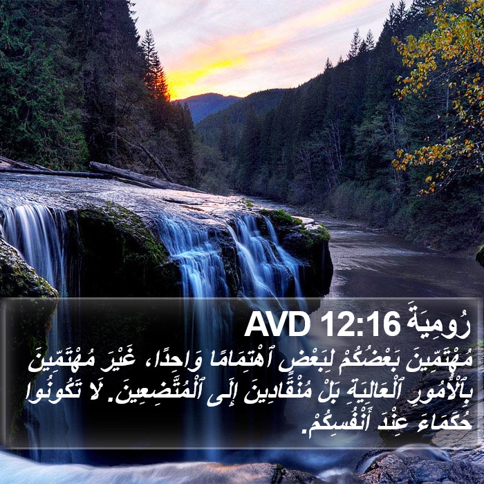 رُومِيَةَ 12:16 AVD Bible Study
