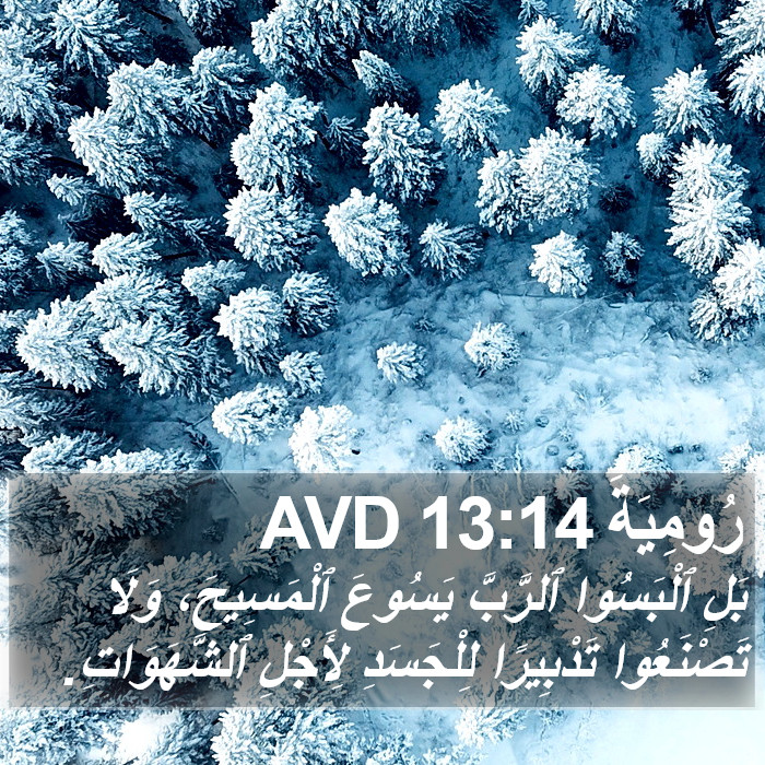 رُومِيَةَ 13:14 AVD Bible Study