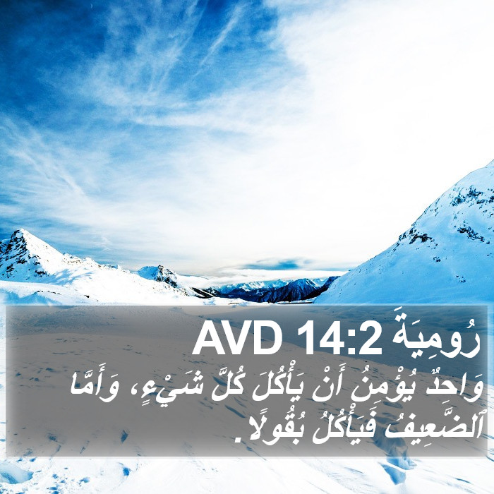 رُومِيَةَ 14:2 AVD Bible Study