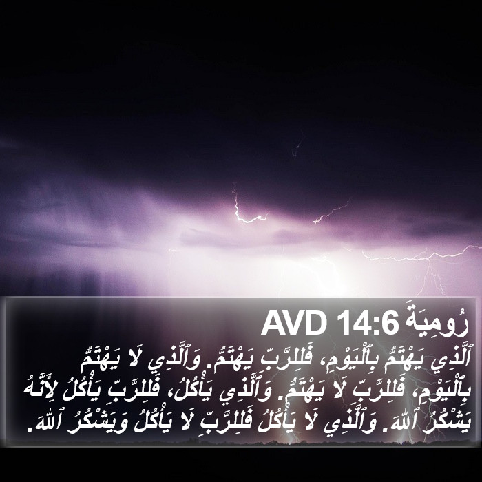 رُومِيَةَ 14:6 AVD Bible Study