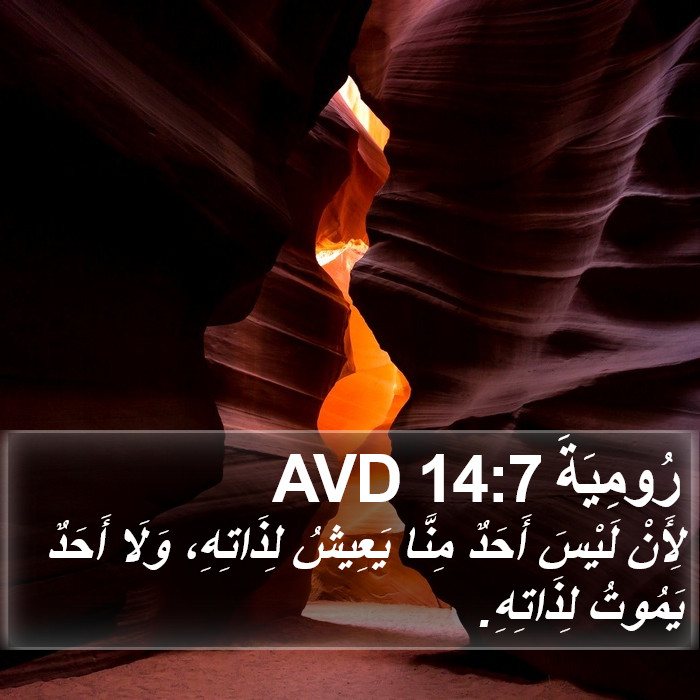 رُومِيَةَ 14:7 AVD Bible Study