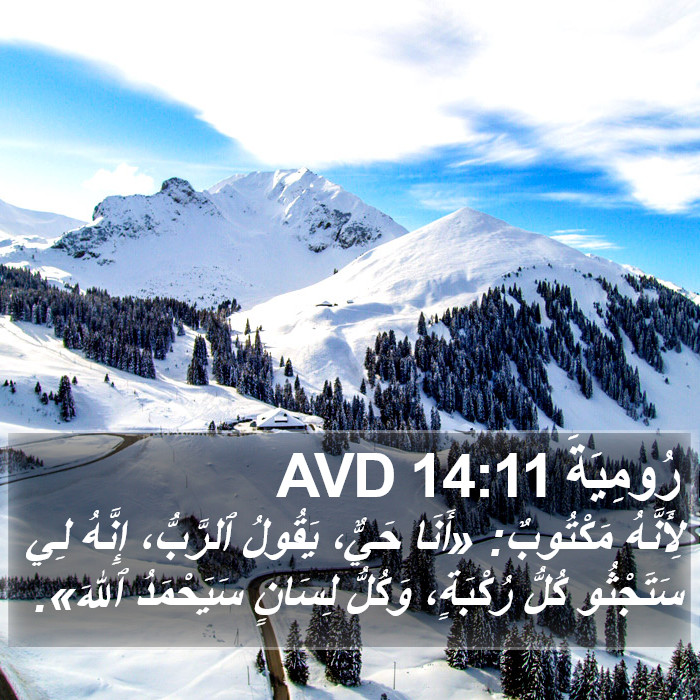 رُومِيَةَ 14:11 AVD Bible Study