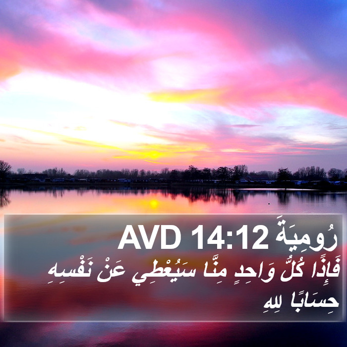 رُومِيَةَ 14:12 AVD Bible Study