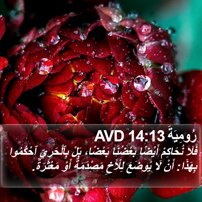 رُومِيَةَ 14:13 AVD Bible Study