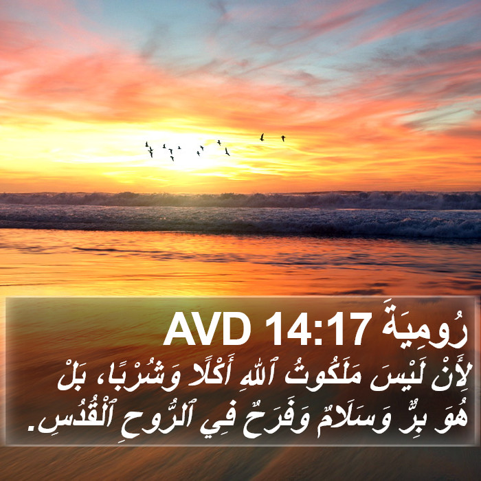 رُومِيَةَ 14:17 AVD Bible Study