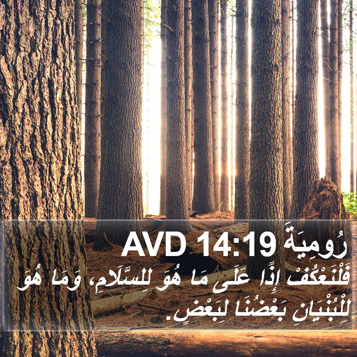 رُومِيَةَ 14:19 AVD Bible Study