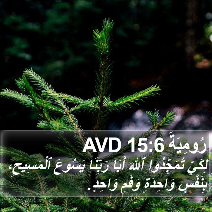 رُومِيَةَ 15:6 AVD Bible Study