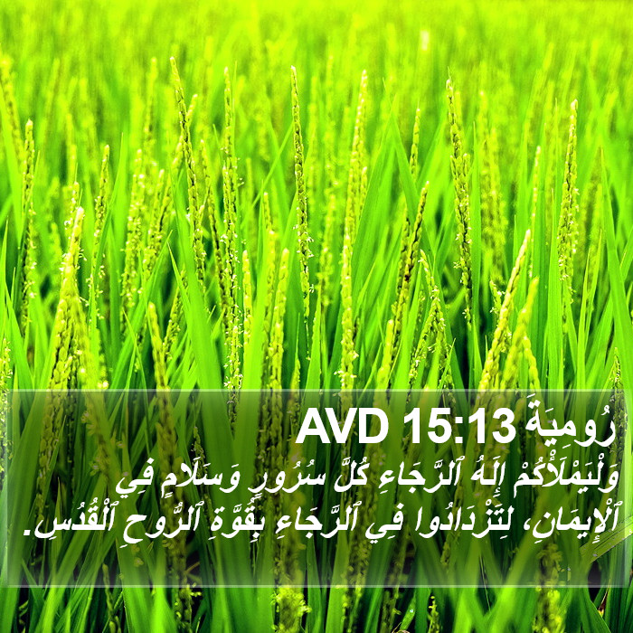 رُومِيَةَ 15:13 AVD Bible Study