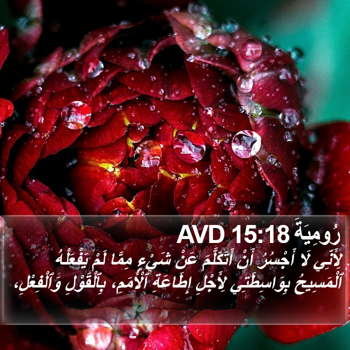 رُومِيَةَ 15:18 AVD Bible Study