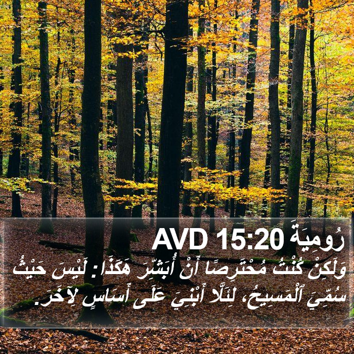 رُومِيَةَ 15:20 AVD Bible Study