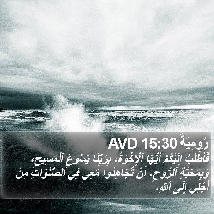 رُومِيَةَ 15:30 AVD Bible Study