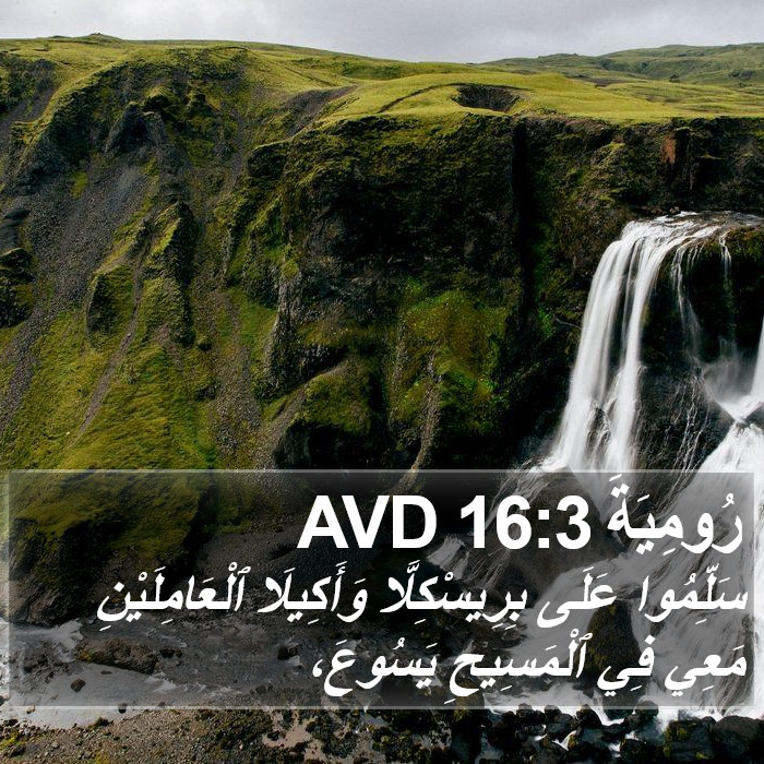 رُومِيَةَ 16:3 AVD Bible Study