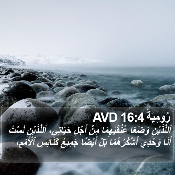 رُومِيَةَ 16:4 AVD Bible Study