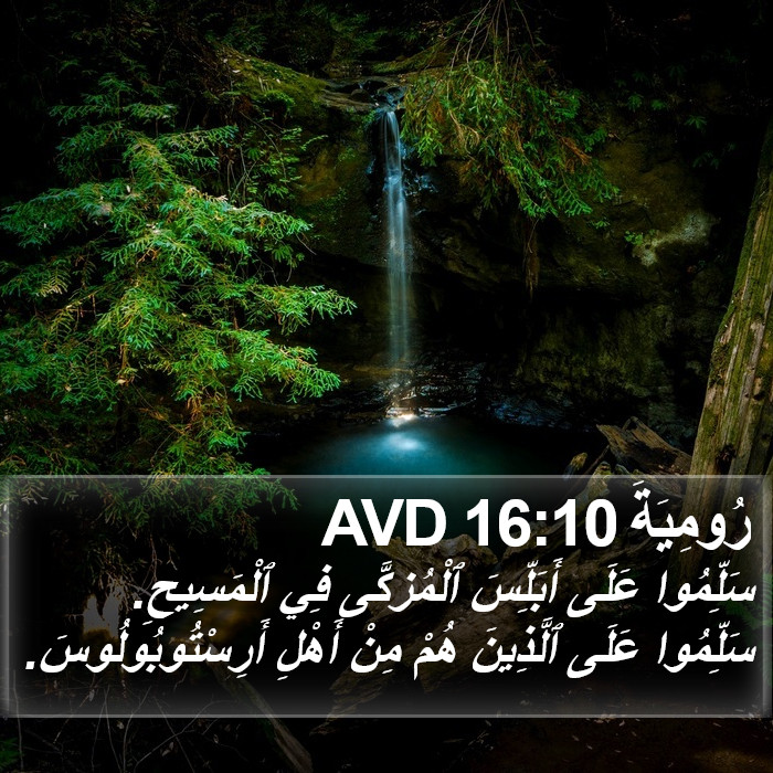 رُومِيَةَ 16:10 AVD Bible Study