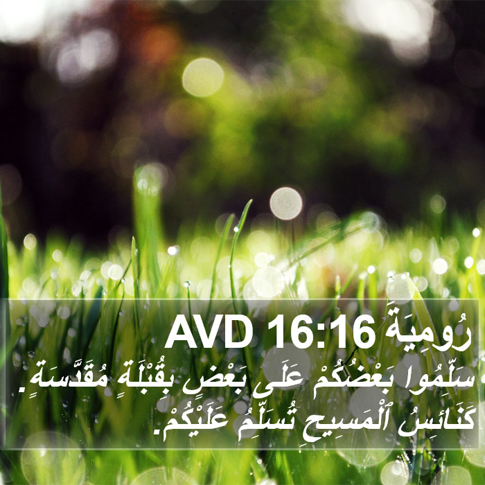 رُومِيَةَ 16:16 AVD Bible Study