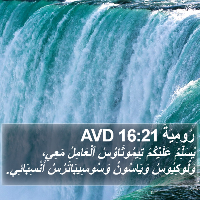 رُومِيَةَ 16:21 AVD Bible Study
