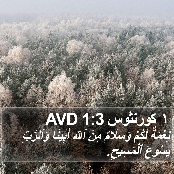 ١ كورنثوس 1:3 AVD Bible Study