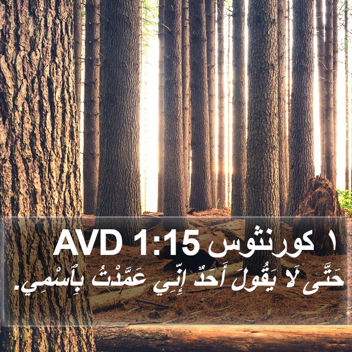 ١ كورنثوس 1:15 AVD Bible Study