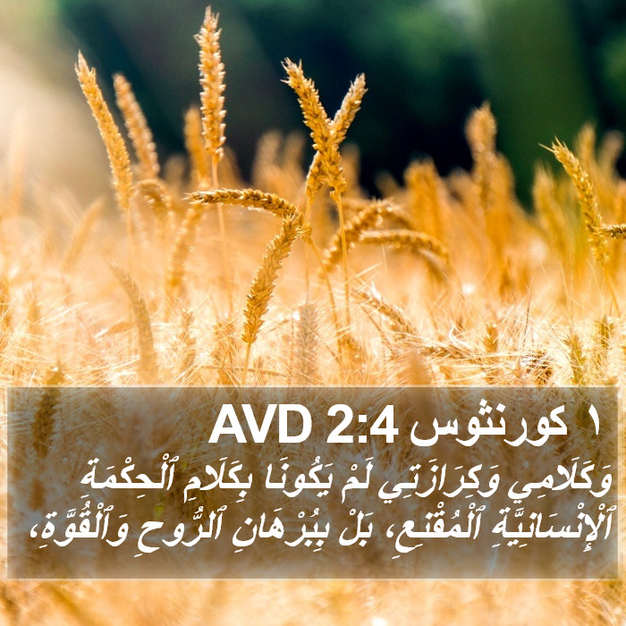 ١ كورنثوس 2:4 AVD Bible Study