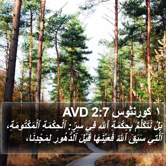 ١ كورنثوس 2:7 AVD Bible Study