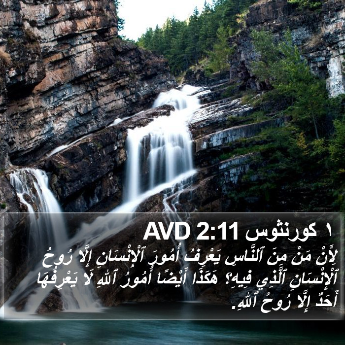 ١ كورنثوس 2:11 AVD Bible Study