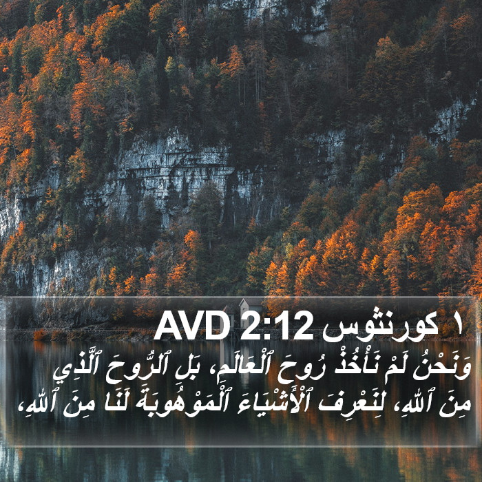 ١ كورنثوس 2:12 AVD Bible Study