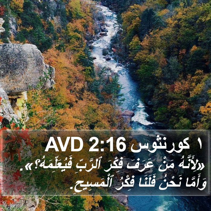 ١ كورنثوس 2:16 AVD Bible Study