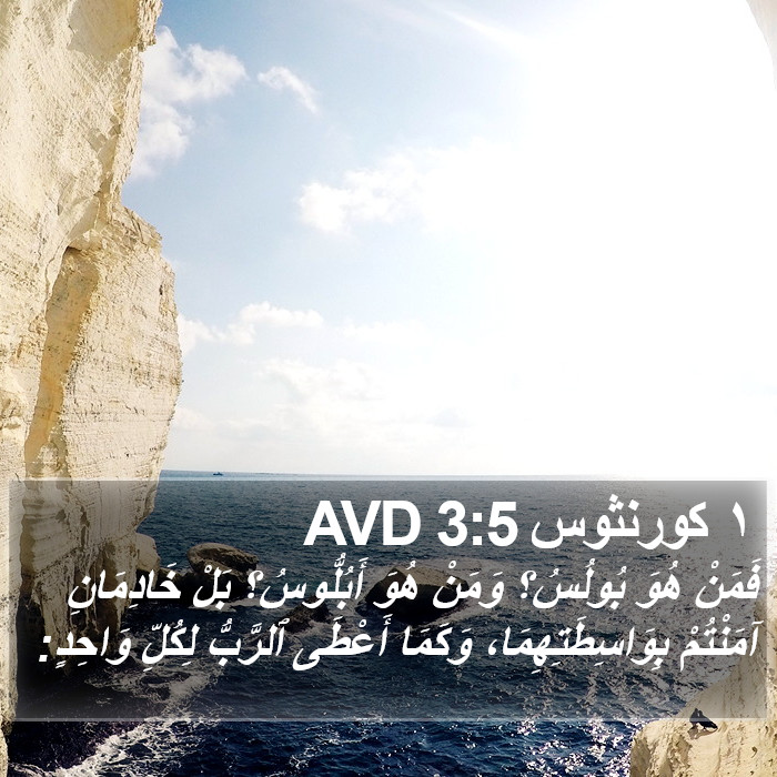 ١ كورنثوس 3:5 AVD Bible Study