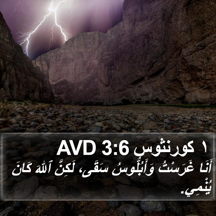 ١ كورنثوس 3:6 AVD Bible Study