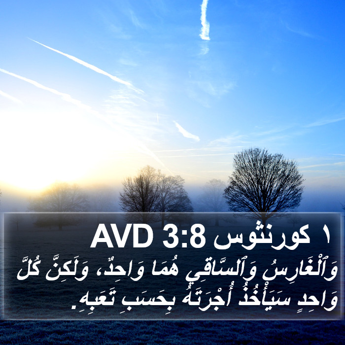 ١ كورنثوس 3:8 AVD Bible Study