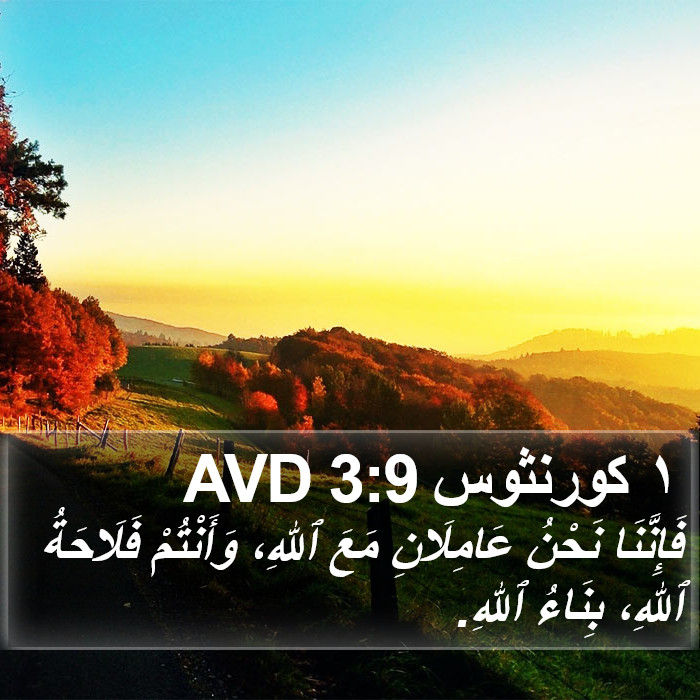١ كورنثوس 3:9 AVD Bible Study