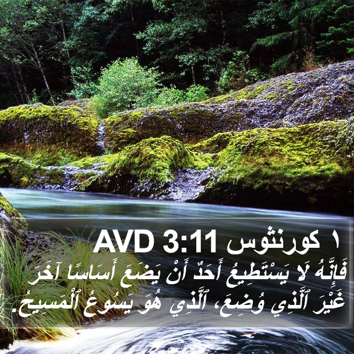 ١ كورنثوس 3:11 AVD Bible Study