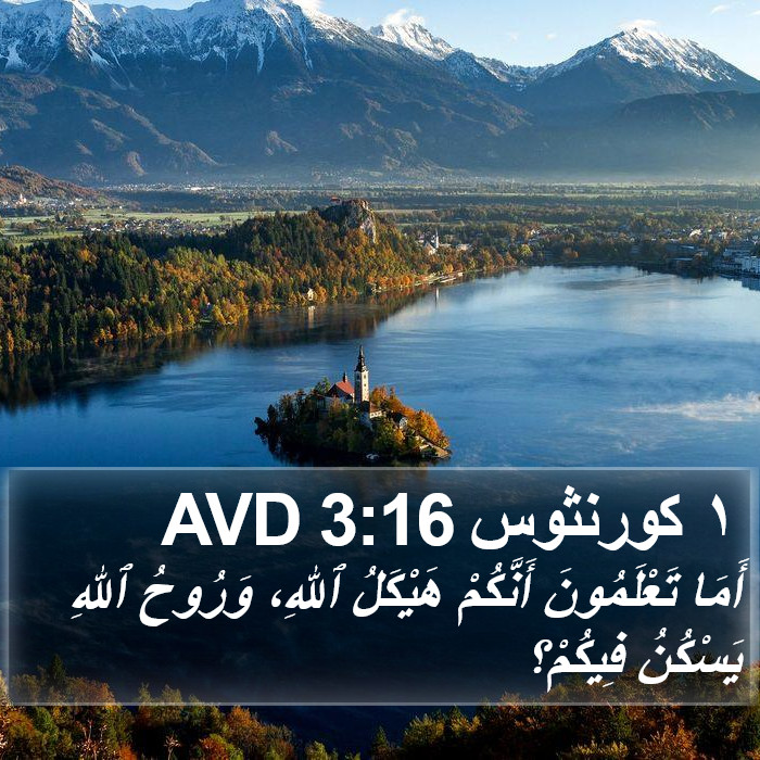 ١ كورنثوس 3:16 AVD Bible Study