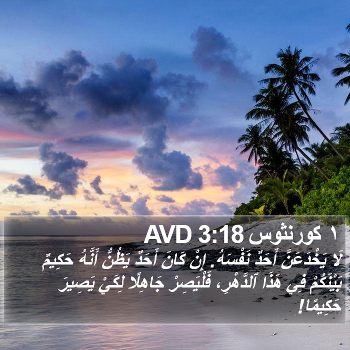 ١ كورنثوس 3:18 AVD Bible Study