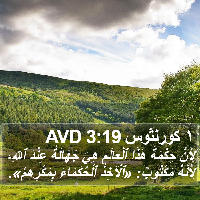 ١ كورنثوس 3:19 AVD Bible Study