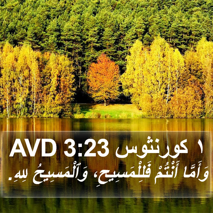 ١ كورنثوس 3:23 AVD Bible Study