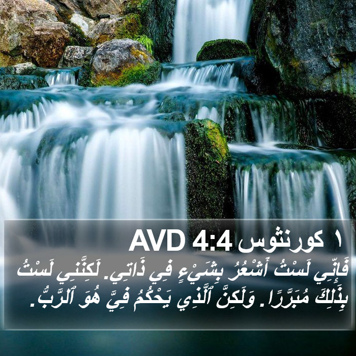 ١ كورنثوس 4:4 AVD Bible Study