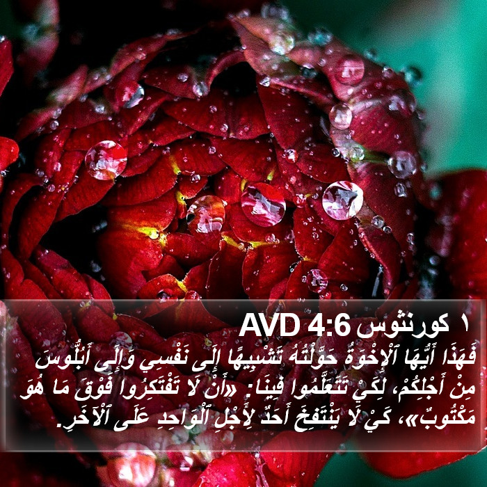 ١ كورنثوس 4:6 AVD Bible Study