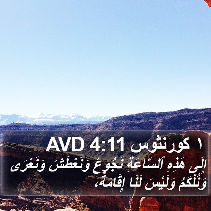 ١ كورنثوس 4:11 AVD Bible Study