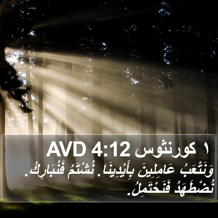 ١ كورنثوس 4:12 AVD Bible Study