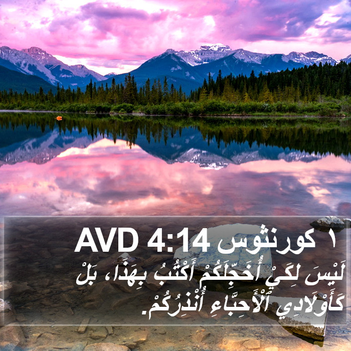١ كورنثوس 4:14 AVD Bible Study